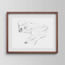 Load image into Gallery viewer, Golden Retriever Study No. 2