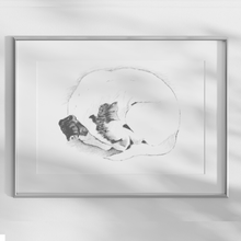 Load image into Gallery viewer, Jack Russell Terrier Study No. 3