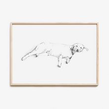 Load image into Gallery viewer, Labrador Retriever Study