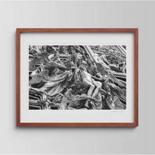 Load image into Gallery viewer, Ascension