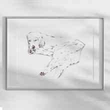 Load image into Gallery viewer, Golden Retriever Study No. 2