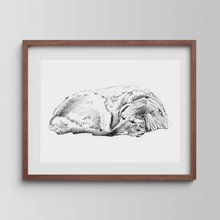 Load image into Gallery viewer, Golden Retriever Study
