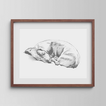 Load image into Gallery viewer, Dachshund Study