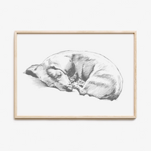 Load image into Gallery viewer, Dachshund Study