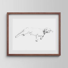 Load image into Gallery viewer, Labrador Retriever Study