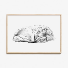 Load image into Gallery viewer, Golden Retriever Study