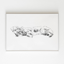 Load image into Gallery viewer, Golden Retriever Study No. 3