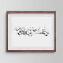 Load image into Gallery viewer, Golden Retriever Study No. 3