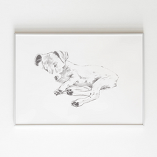 Load image into Gallery viewer, Jack Russell Terrier Study No. 1