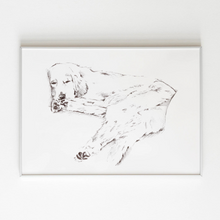 Load image into Gallery viewer, Golden Retriever Study No. 2
