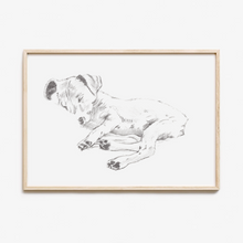 Load image into Gallery viewer, Jack Russell Terrier Study No. 1