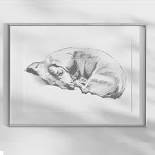 Load image into Gallery viewer, Dachshund Study
