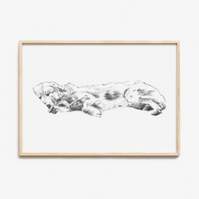 Load image into Gallery viewer, Golden Retriever Study No. 3