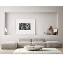 Load image into Gallery viewer, Ascension