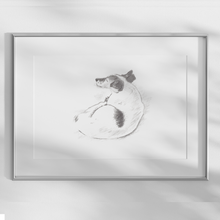 Load image into Gallery viewer, Jack Russell Terrier Study No. 2