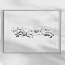 Load image into Gallery viewer, Golden Retriever Study No. 3