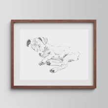 Load image into Gallery viewer, Jack Russell Terrier Study No. 1