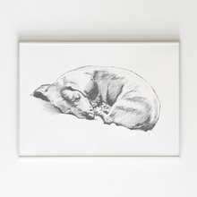 Load image into Gallery viewer, Dachshund Study