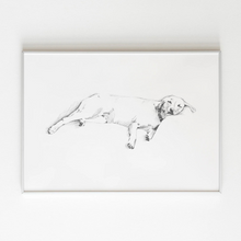 Load image into Gallery viewer, Labrador Retriever Study