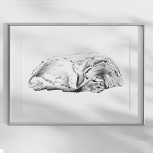 Load image into Gallery viewer, Golden Retriever Study