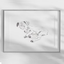 Load image into Gallery viewer, Jack Russell Terrier Study No. 1