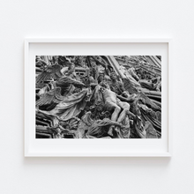 Load image into Gallery viewer, Ascension