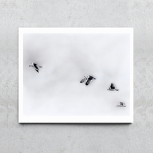 Load image into Gallery viewer, Soaring - Seagulls in Flight