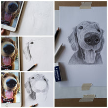 Load image into Gallery viewer, Original Handmade Custom Pet Portrait in Graphite