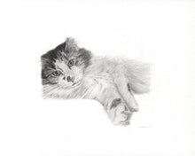Load image into Gallery viewer, Original Handmade Custom Pet Portrait in Graphite