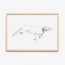 Load image into Gallery viewer, Labrador Retriever Study
