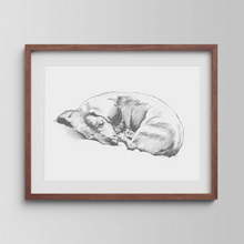 Load image into Gallery viewer, Dachshund Study
