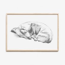 Load image into Gallery viewer, Dachshund Study
