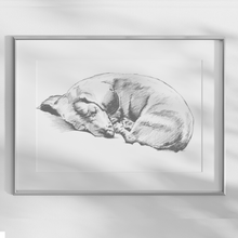 Load image into Gallery viewer, Dachshund Study
