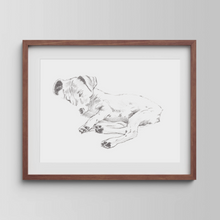 Load image into Gallery viewer, Jack Russell Terrier Study No. 1
