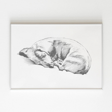 Load image into Gallery viewer, Dachshund Study
