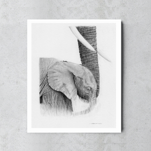 "Safe Space" - Elephant Print