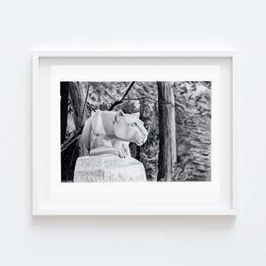 "Hail to the Lion" Penn State Nittany Lion Shrine Print