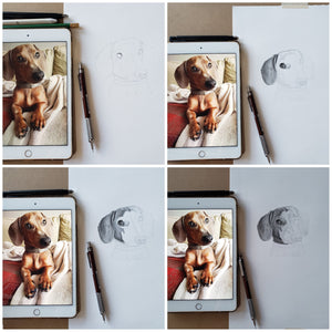 Original Handmade Custom Pet Portrait in Graphite