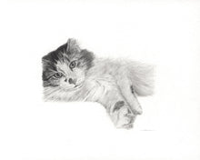 Load image into Gallery viewer, Original Handmade Custom Pet Portrait in Graphite
