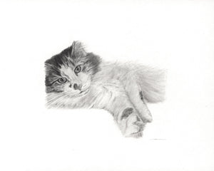 Original Handmade Custom Pet Portrait in Graphite